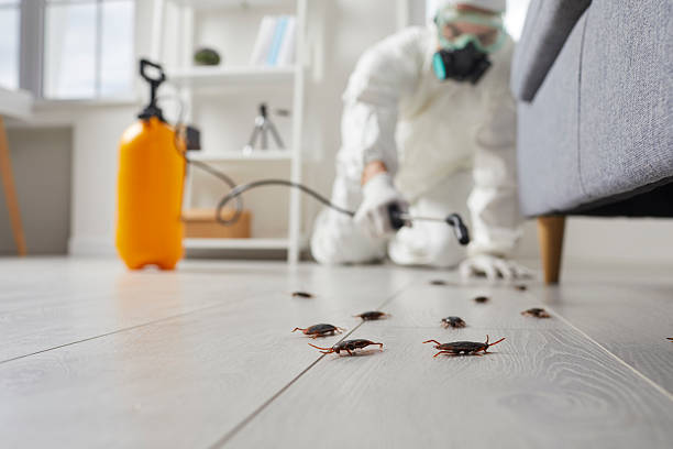 Commercial Kitchen Cockroach Control in Stockdale